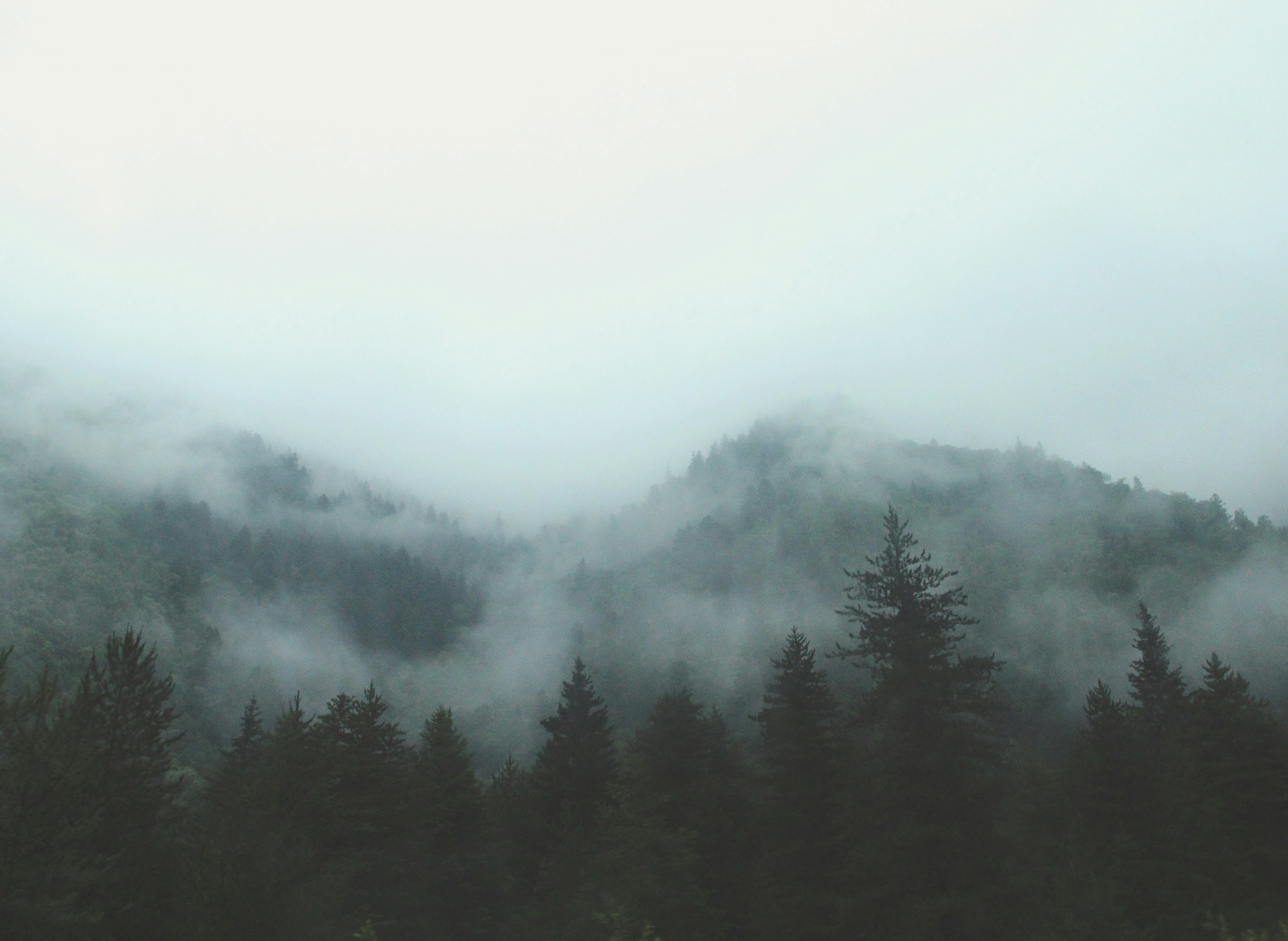 foggy landscape